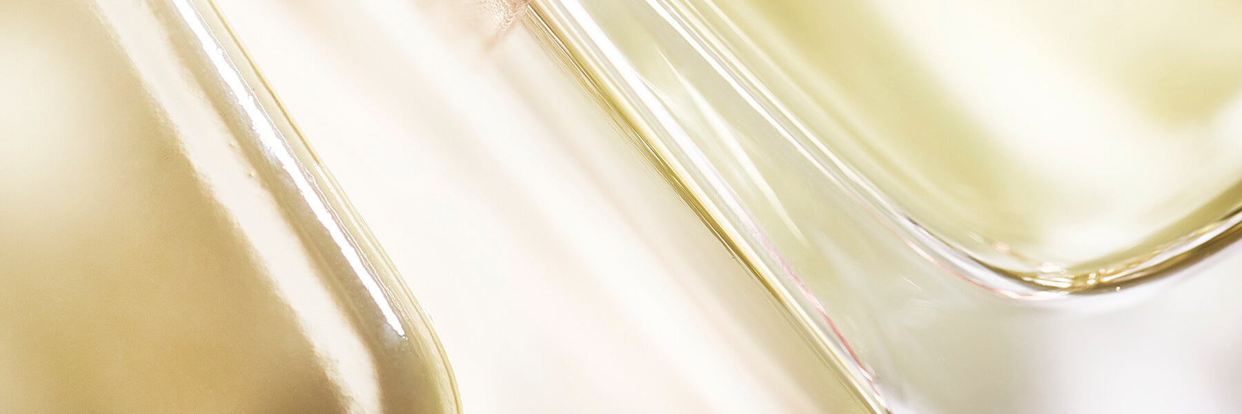 Banner Beschreibung Parfum ~ el pasajero ~ No 1