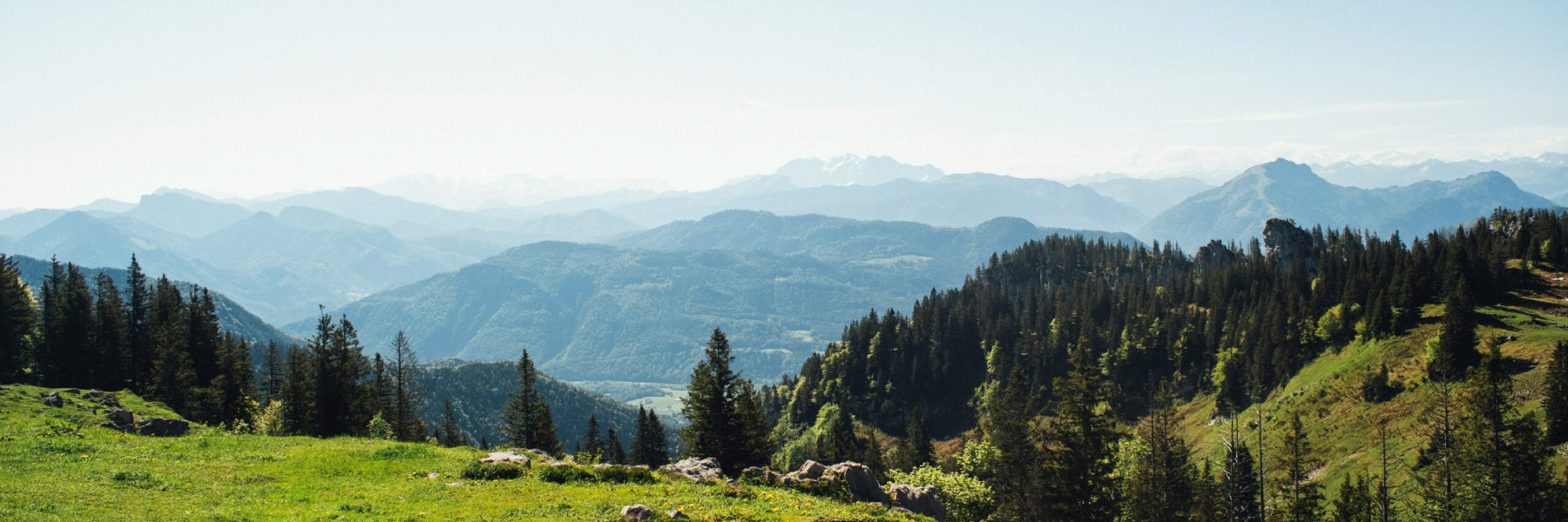 Allerhöchste Qualität aus Bayern